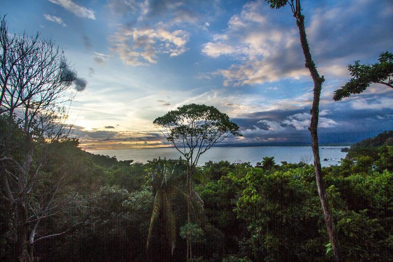 Issimo Suites Boutique Hotel & Spa - Adults Only Vườn quốc gia Vườn quốc gia Manuel Antonio Ngoại thất bức ảnh